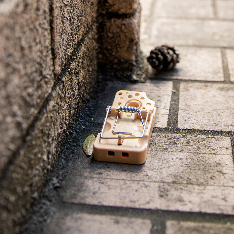 Plastic Snap Mouse Trap - 6 Pack/Box