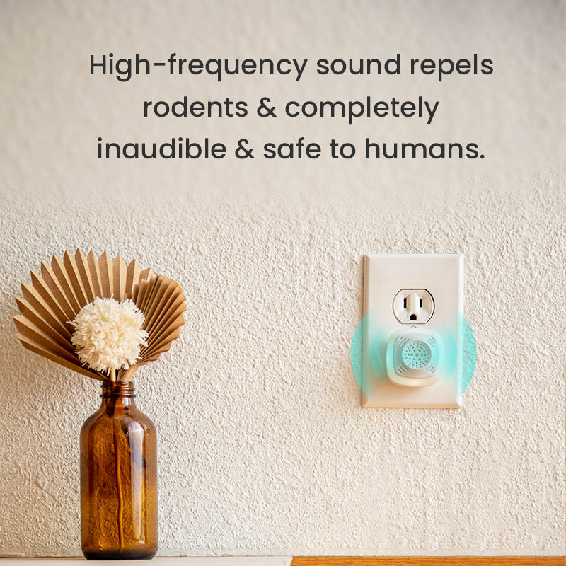 Ultrasonic Rodent Repeller - 4 Pack