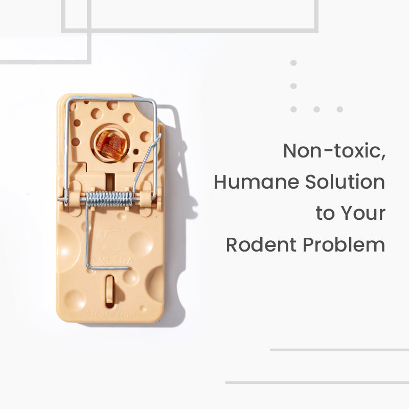 Plastic Snap Mouse Trap - 6 Pack/Box