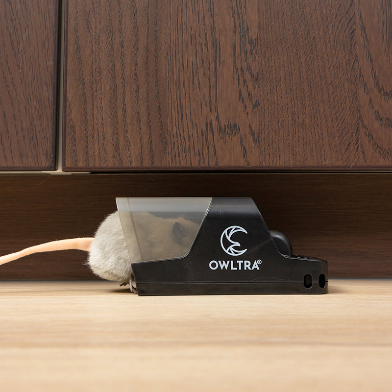 Tunnel Snap Mouse Trap - 2 Pack