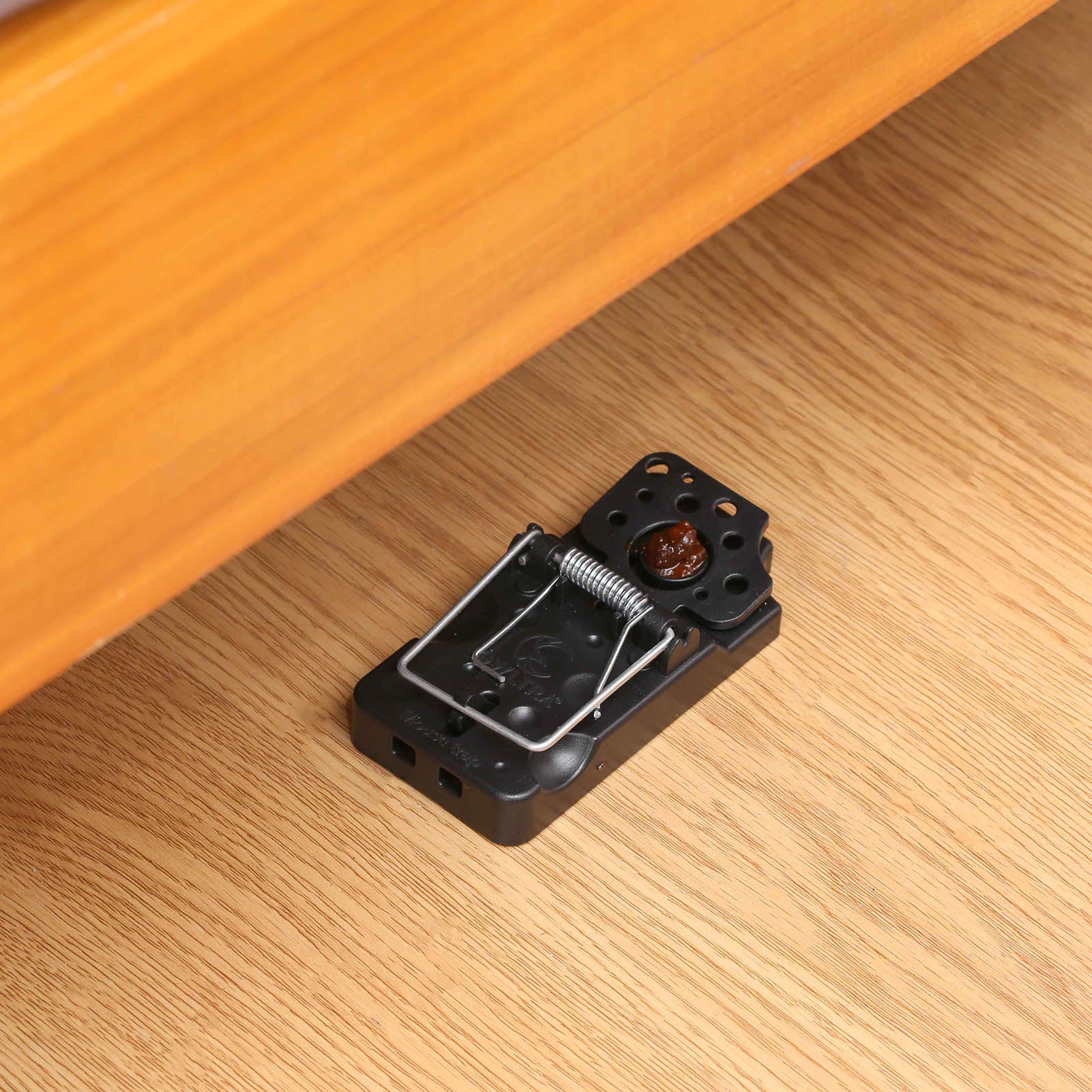 Plastic Snap Mouse Trap - 6 Pack/Box